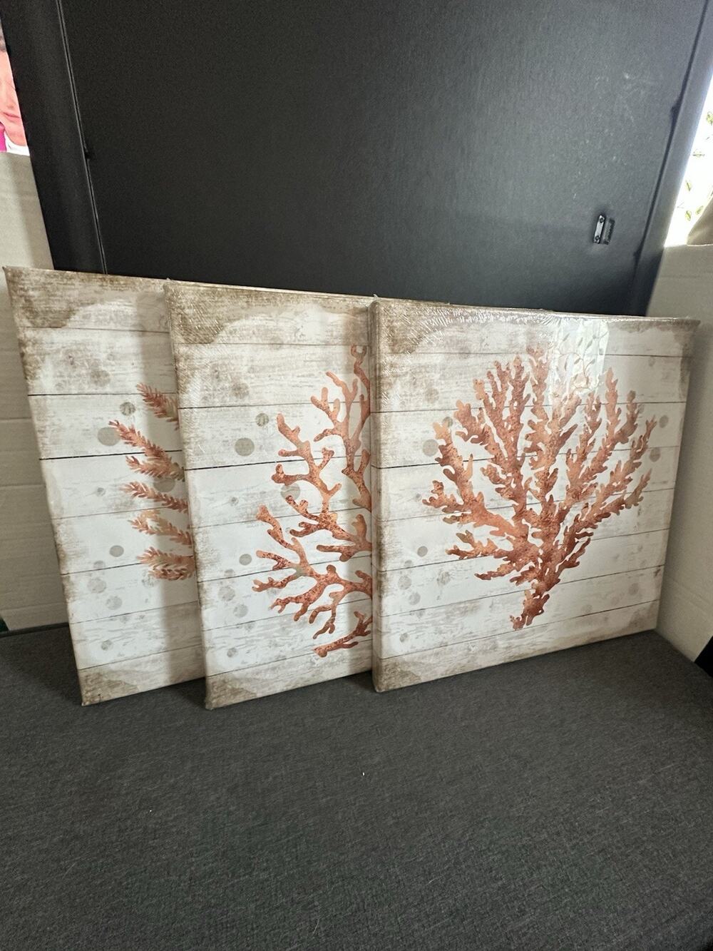 Set of 3 Coastal Coral Canvas Wall Art Beach Nautical Decor 16x14 Orange White